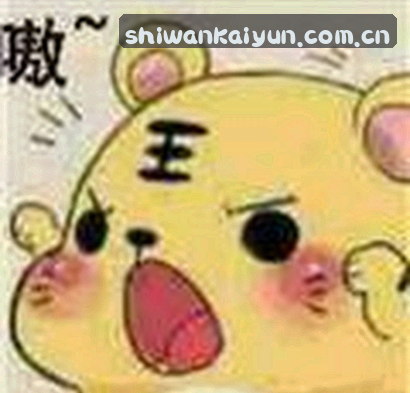 孙浩